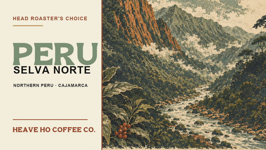 Peru Selva Norte Roaster's Choice artwork with northern Peru mountains, river, and coffee plants.