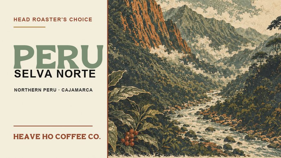 Peru Selva Norte Roaster's Choice artwork with northern Peru mountains, river, and coffee plants.
