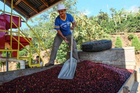 May Roasters Choice